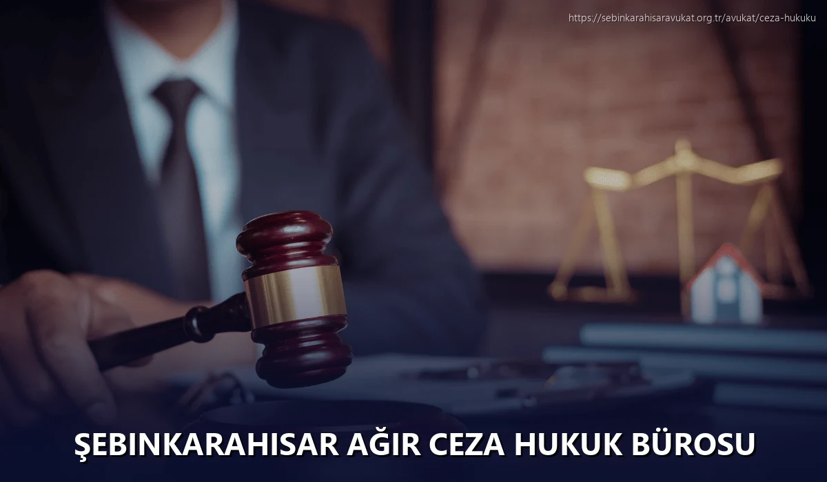 Şebinkarahisar Ağır Ceza Hukuk Bürosu