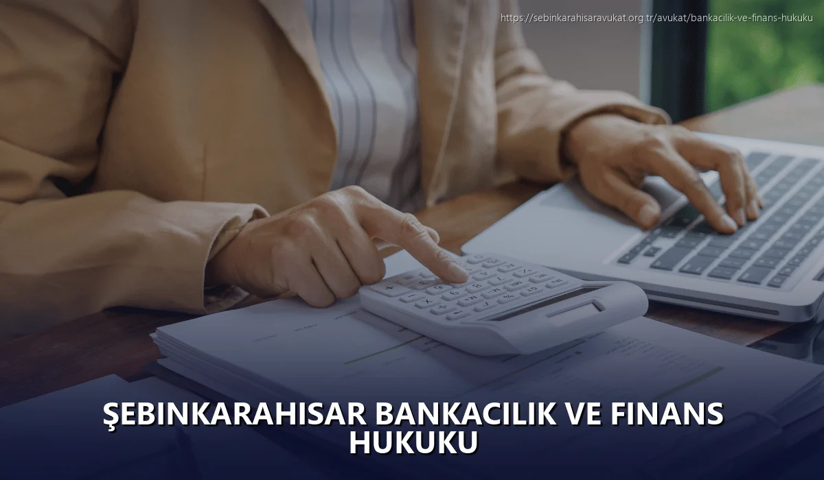 Şebinkarahisar Bankacılık ve Finans Hukuku