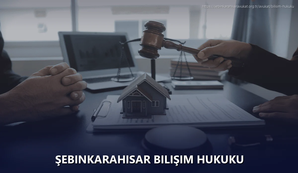 Şebinkarahisar Bilişim Hukuku