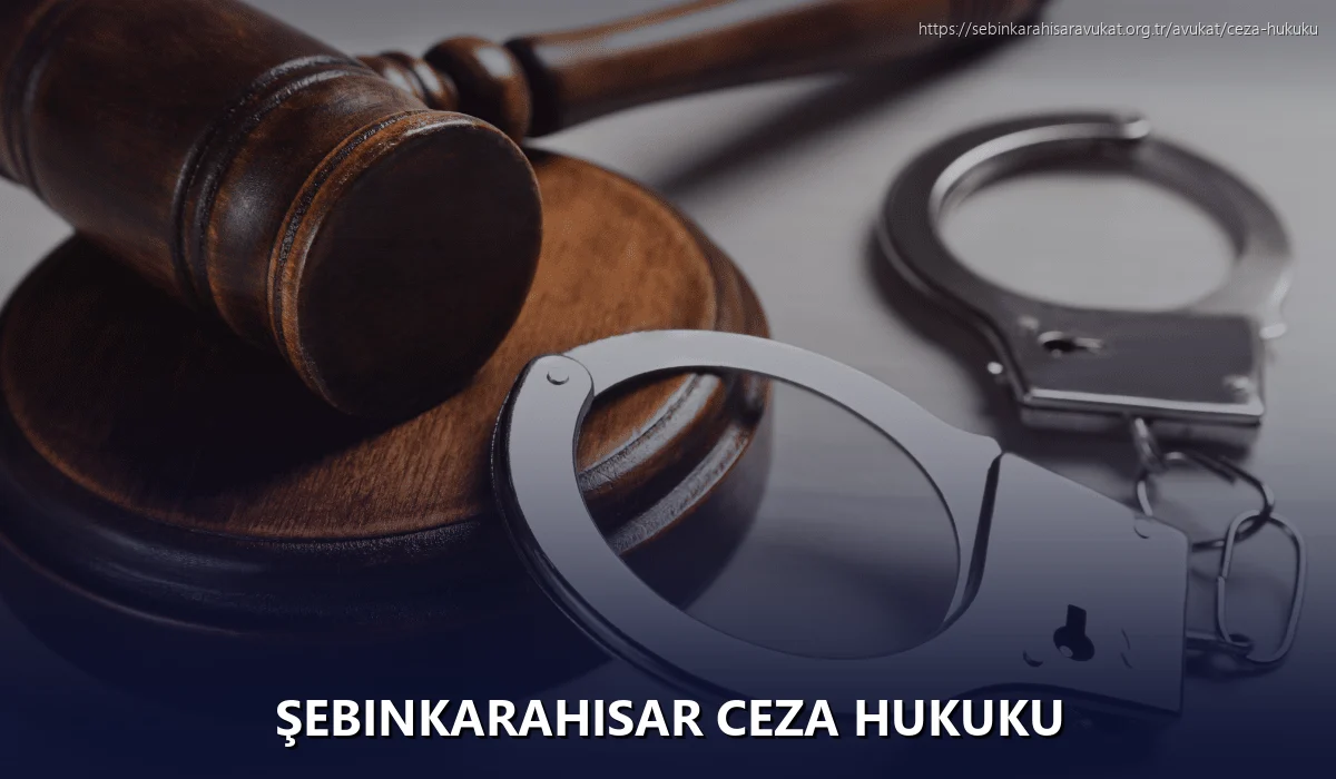 Şebinkarahisar Ceza Hukuku