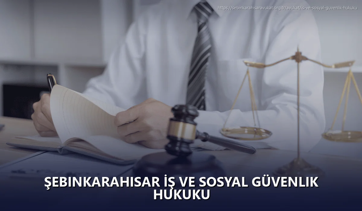Şebinkarahisar İş ve Sosyal Güvenlik Hukuku