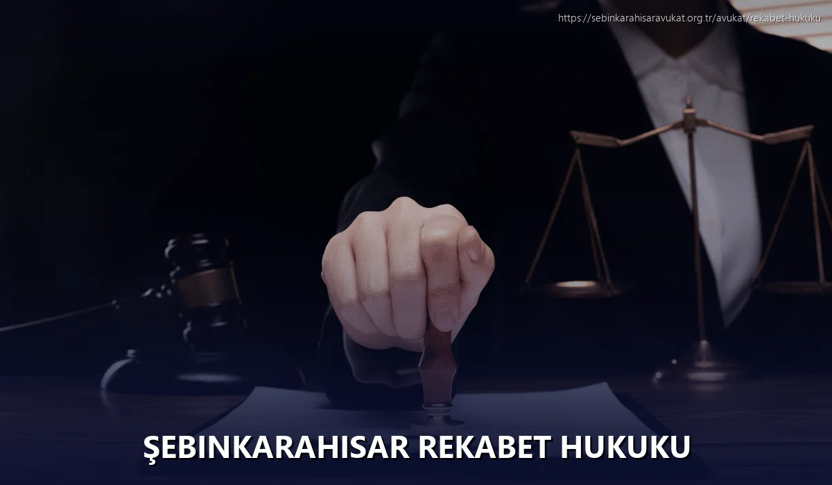 Şebinkarahisar Rekabet Hukuku