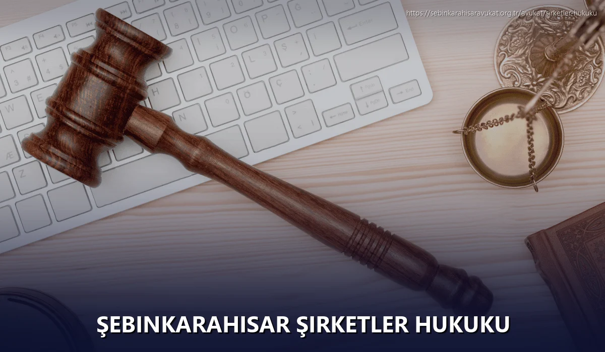 Şebinkarahisar Şirketler Hukuku