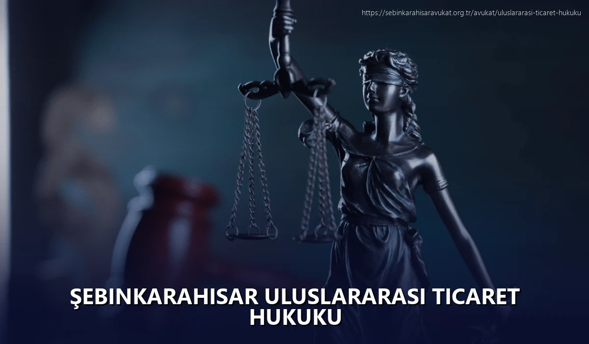 Şebinkarahisar Uluslararası Ticaret Hukuku
